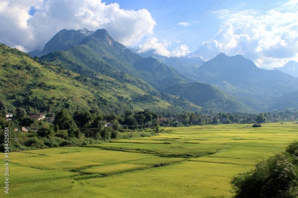 Scenic rice fields set against mountains Scenic rice fields set against mountains