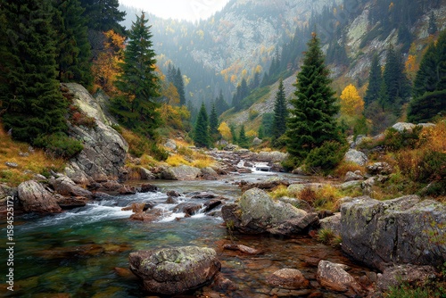 Fototapeta Naklejka Na Ścianę i Meble -  Scenic autumn forest with a mountain stream and rocky shoreline