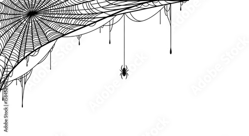 A spooky spiderweb with a dangling spider, isolated on white 