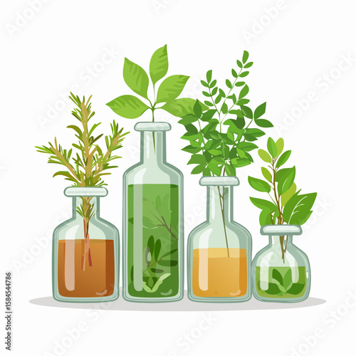 Collection of Herbs and Spices in Apothecary Bottles