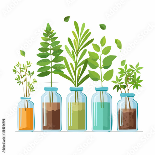 Collection of Herbs and Spices in Apothecary Bottles