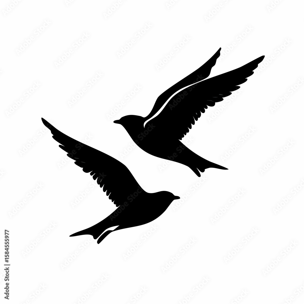 Obraz premium Two black birds in flight with open wings against a white background