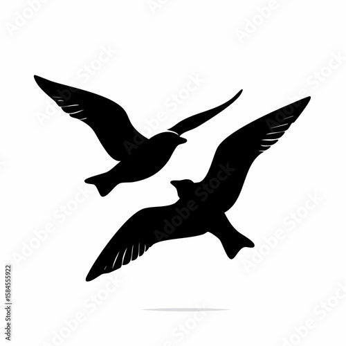 Two seagulls flying in silhouette against a white background vector art