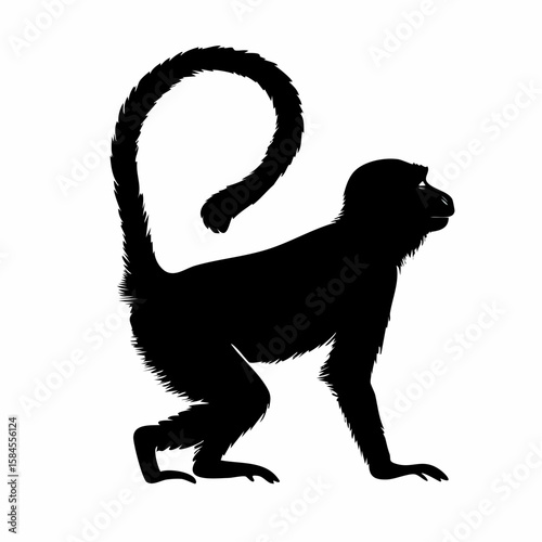Silhouette of a monkey with a long prehensile tail standing on four limbs