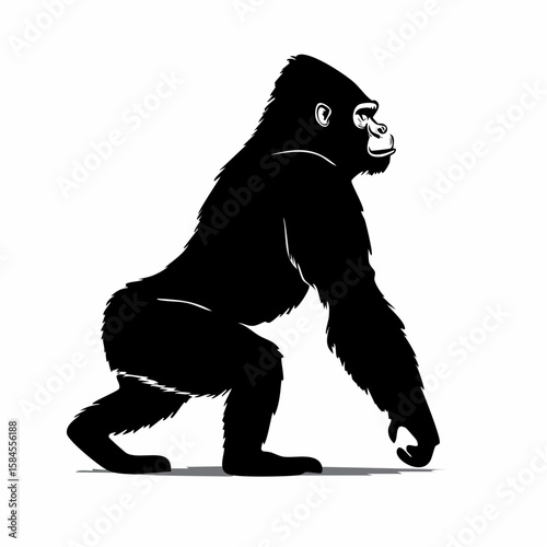 Illustration of a powerful gorilla walking with its knuckles on the ground