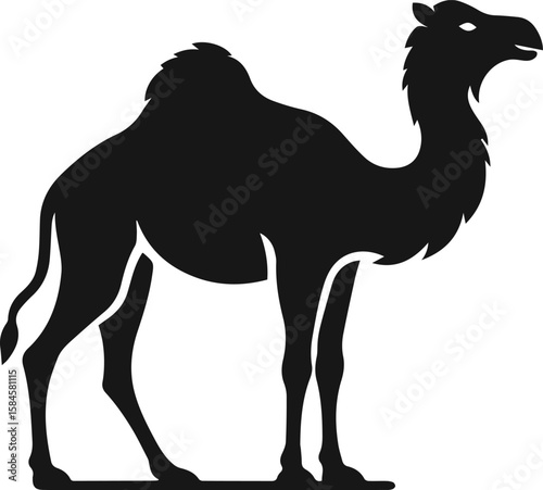 Camel Vector silhouette Illustration