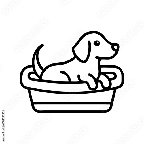 Dachshund puppy lying comfortably in a basket at home  