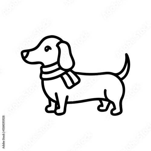 Dachshund wearing a scarf standing in a playful pose  