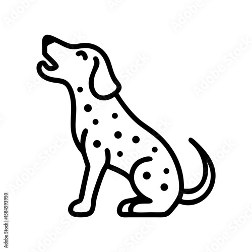 Dalmatian dog barking while sitting on a white background  
