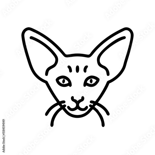 Oriental Shorthair cat illustration with prominent ears and whiskers  