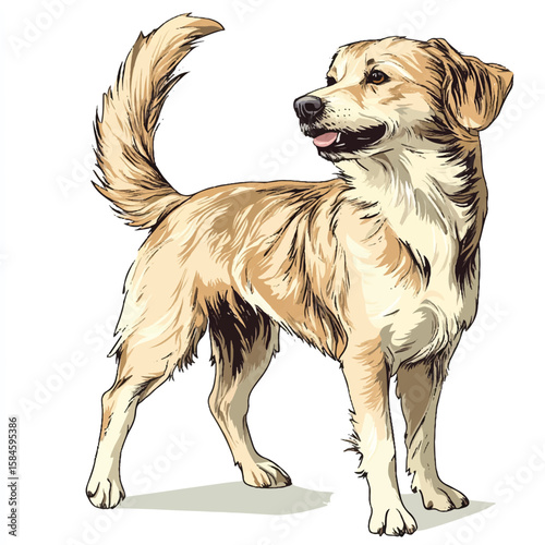 a dog wagging its tail playful