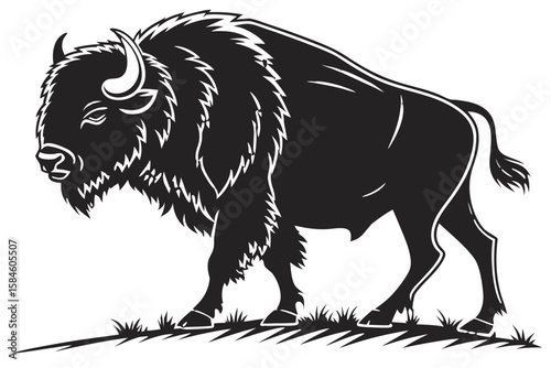 Bison walking through a grassy field