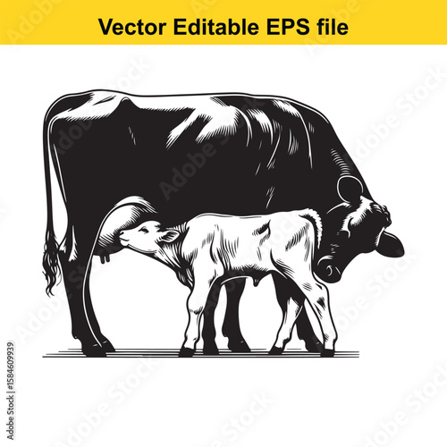 A black and white illustration of a cow nursing its calf, symbolising maternal care and farm life.