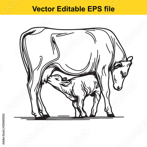 A black and white illustration of a cow nursing its calf, symbolising maternal care and farm life.