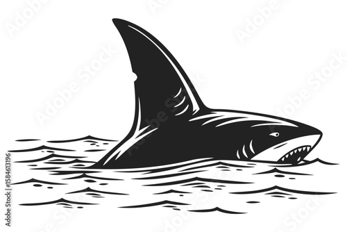 A shark emerges from the water with its fin visible