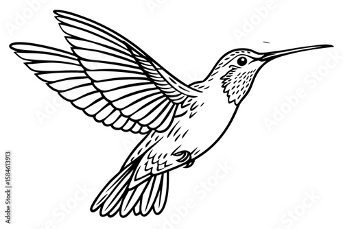 Hummingbird flying with wings spread isolated on white background