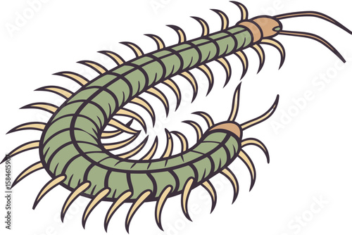 A green centipede with many legs and antennae