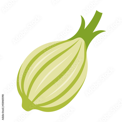 Fresh green and white onions, isolated on a white background, are healthy organic ingredients