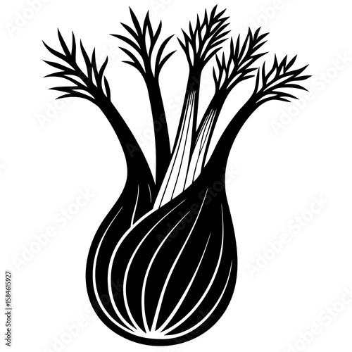 fennel vector illustration 