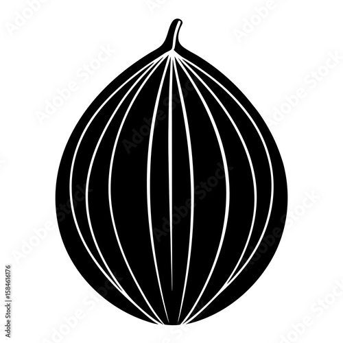 nutmeg vector illustration 