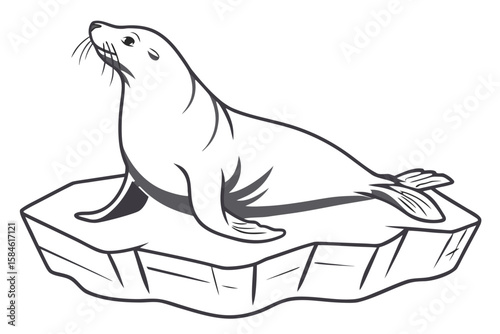 A seal sits on an ice floe