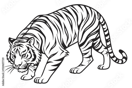 A tiger crouching, drawn in a bold outline style