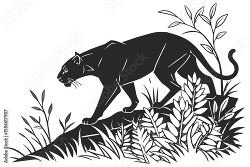A black panther walks among plants on a rock