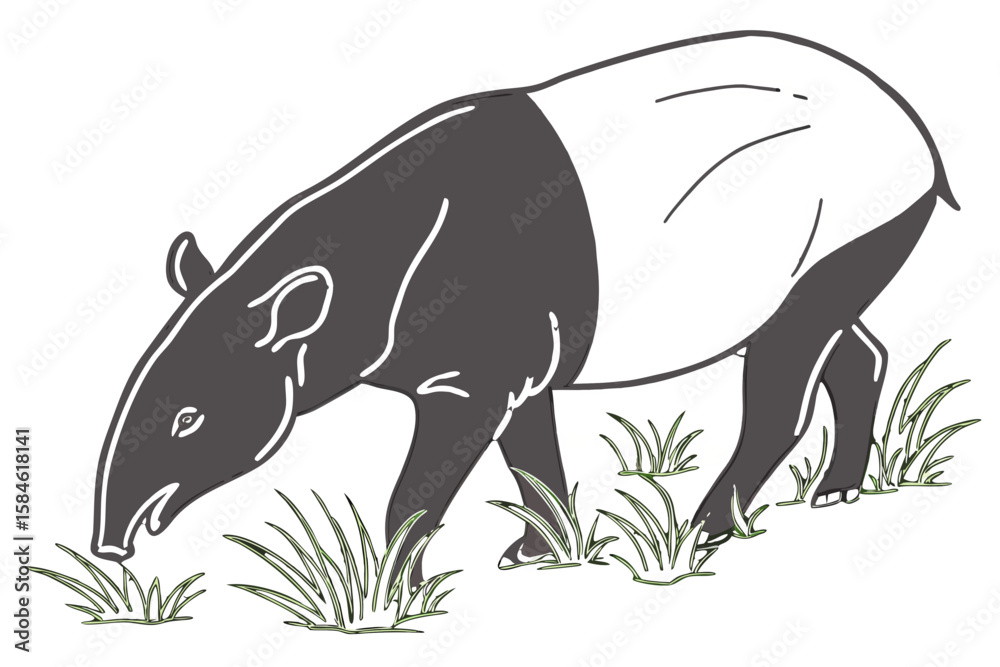 Fototapeta premium A tapir eats grass in a natural outdoor setting