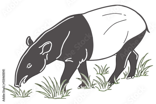 A tapir eats grass in a natural outdoor setting