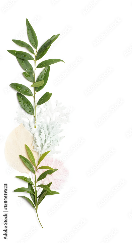 Fototapeta premium A vertical composition of a green leafy branch, silver foliage, and soft pastel circles against a white background.