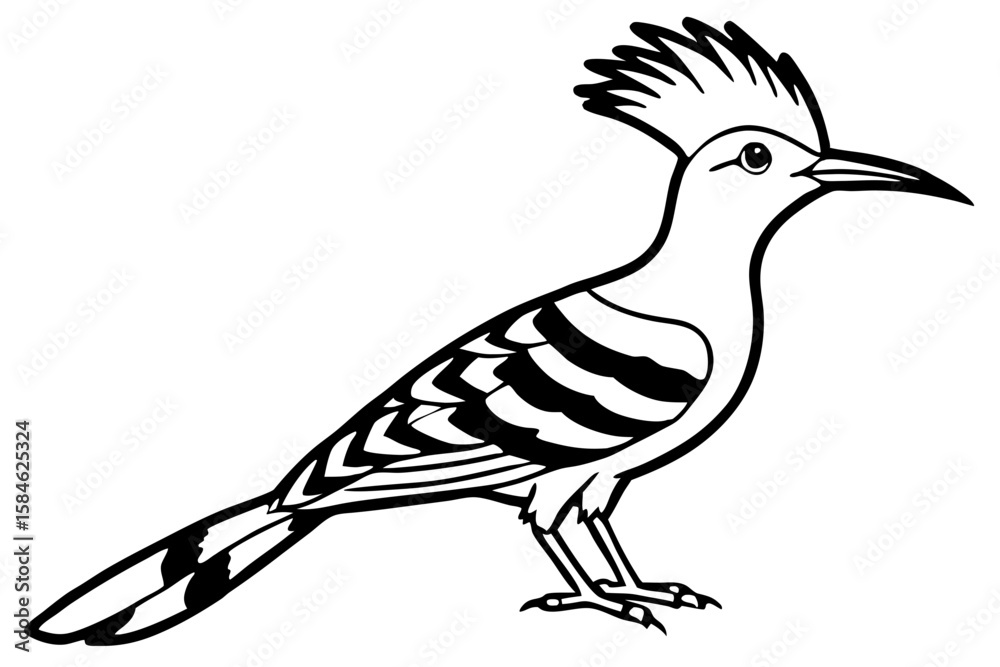 Obraz premium Hoopoe Silhouette Design