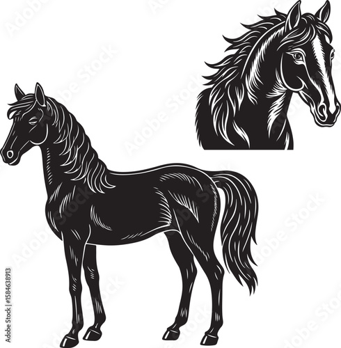 Black horse silhouette vector illustration showing a running stallion in outline style on white background