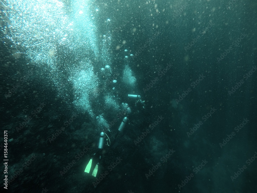 Obraz premium Exploring the silent world beneath the waves, divers plunge into the unknown, discovering the hidden beauty of the ocean's depths.