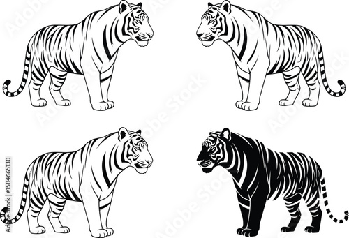 Four stylized tigers in black and white outlines and silhouette on a white background