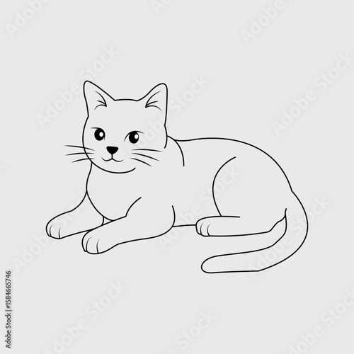 The Relaxed Sitting Cat
