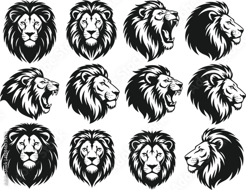 Collection of twelve stylized lion head illustrations in black and white