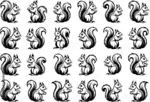 Collection of black and white stylized squirrel illustrations in various poses