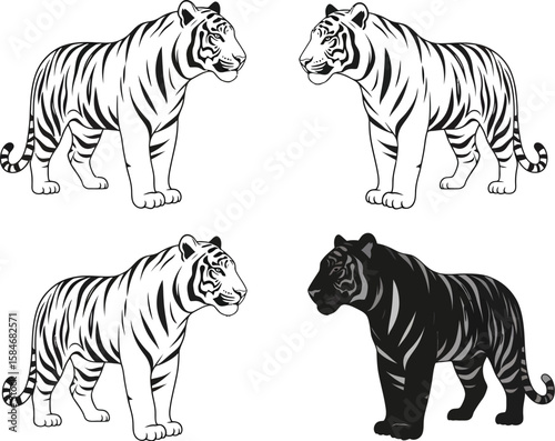 Four stylized tigers in black and white line art and solid black with white stripes