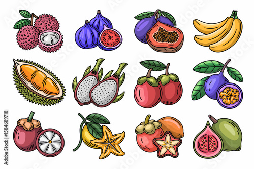 Colorful illustration of various exotic and tropical fruits including lychee, figs, plums, bananas, durian, dragon fruit, mangosteen, star fruit, and guava.