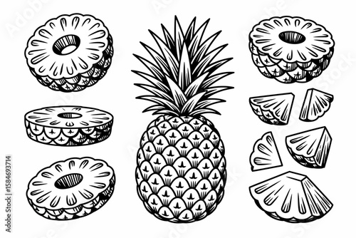 Black and white illustration of a whole pineapple with leaves, alongside various pineapple slices and chunks.