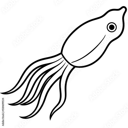 Detailed line art illustration of a cuttlefish with intricate fin fringes