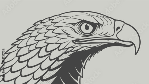 Eagle head vector illustration drawing of bird of prey for wildlife and nature design concept, art 100