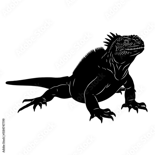 Silhouette of a marine iguana standing, showing its textured skin, spiky dorsal crest, and claws.