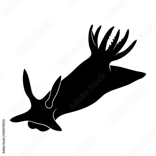 Silhouette of a sea slug, showcasing its unique appendages and body form.