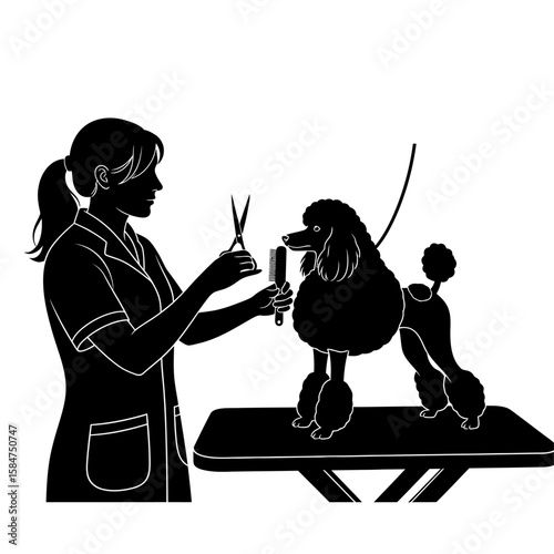 A silhouette of a dog groomer tending to a poodle on a grooming table.