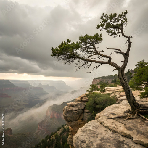 Serene landscape of a single windswept tree growing on a gentle hillside, surrounded by calm skies and soft natural light.