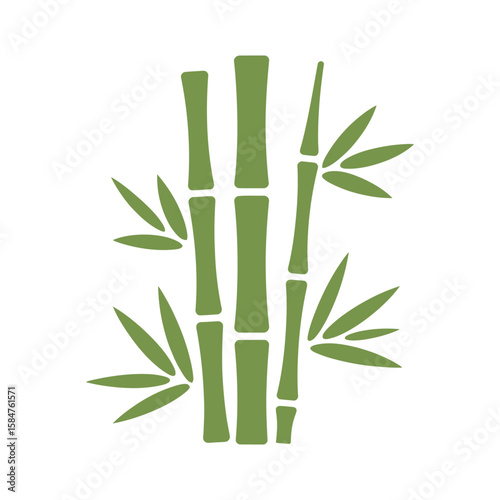 Serene Bamboo Illustration Green Stalks and Lush Leaves
