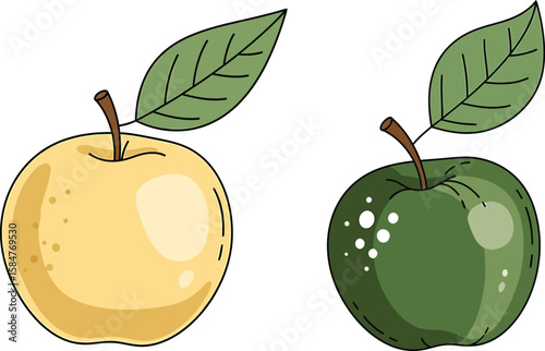 Two stylized apples, one yellow and one green, with attached leaves, presented on a white background.