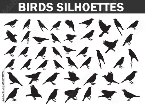 Collection of various bird silhouettes in different poses and actions, ideal for nature, wildlife, and outdoor-themed designs, offering versatile vector elements