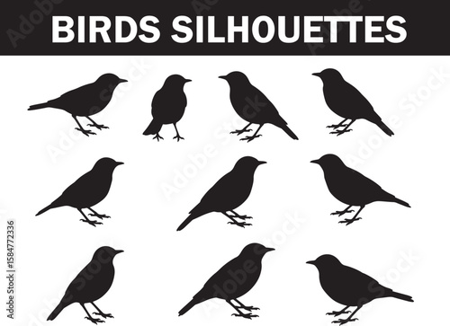 Diverse black silhouettes of small songbirds in various natural perching poses, ideal for nature, wildlife, and avian themed designs
